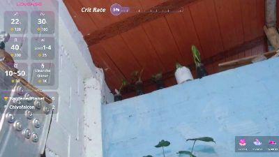 Jasminne_ live cam on Cam4