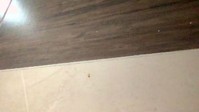 Javierapalacios live cam on Cam4