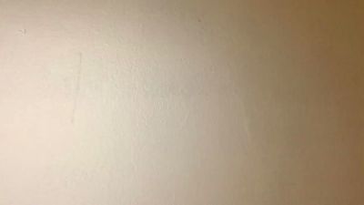 Javierapalacios live cam on Cam4