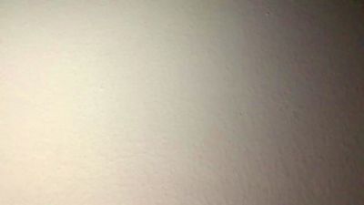 Javierapalacios live cam on Cam4