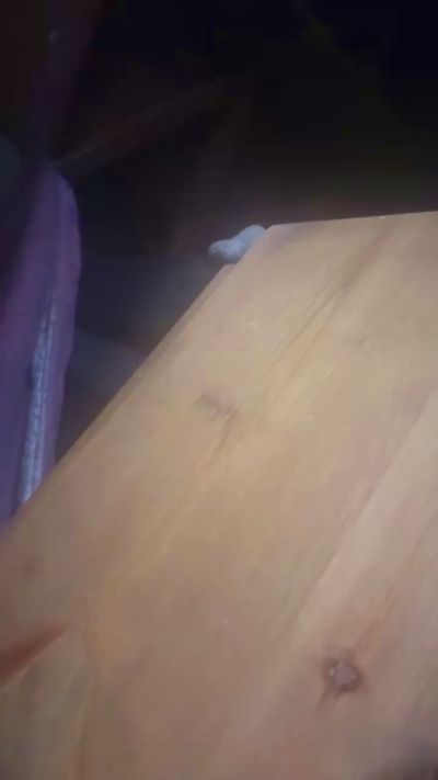 Jbwc2plzu live cam on Cam4