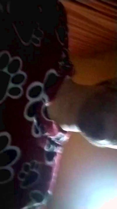 Jerrycum preview