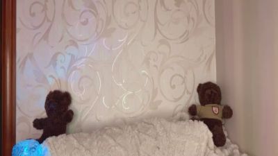 JesusitaLening live cam on Cam4