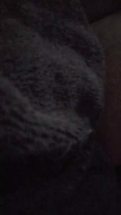 Jnina31 webcam hombre en vivo desde Argelia