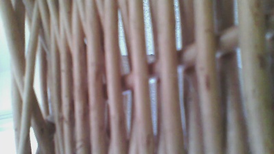 Jocarsilvaas live cam on Cam4