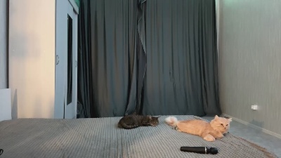 JosephineWines live cam on Cam4