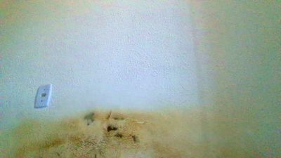 Josmarknada live cam on Cam4
