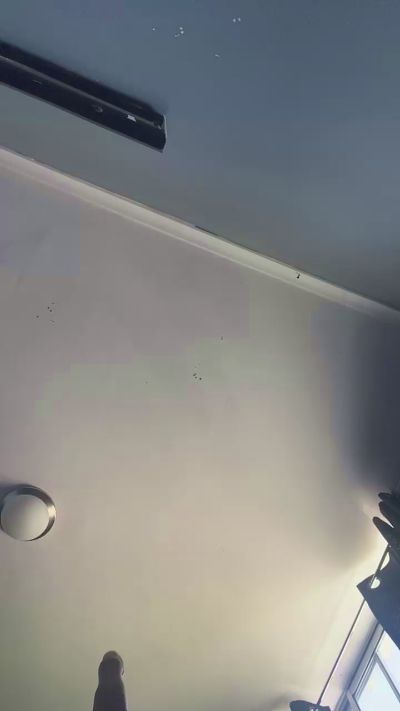 Jpazsex live cam on Cam4