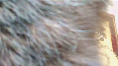 JudeGewinner live cam on Cam4