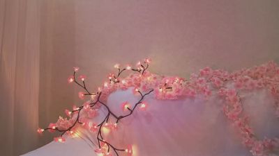 JuliaMaugeri live cam on Cam4
