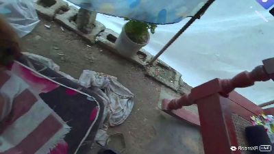 JungleFeverVR live cam on Cam4