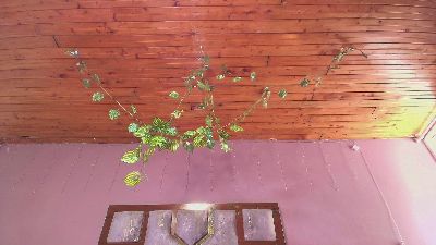 KATYA_LOPEX live cam on Cam4