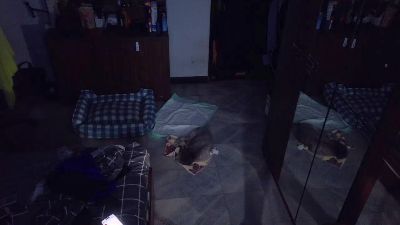 KEVINroku live cam on Cam4
