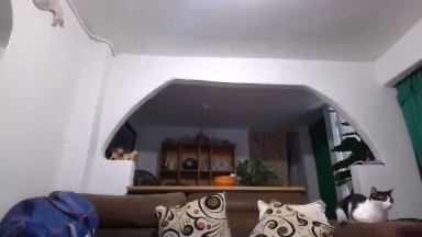 Kaiser679 live cam on Cam4