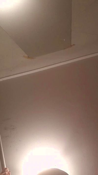 Profile and Statistics for Kalype on Cam4