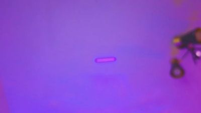 KaraParsons live cam on Cam4