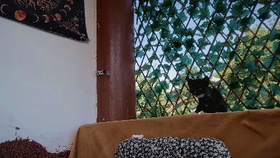 Karoline121 live cam on Cam4