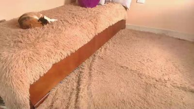 KattQueen live cam on Cam4