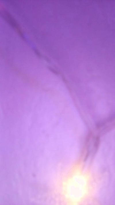 KimieChan live cam on Cam4