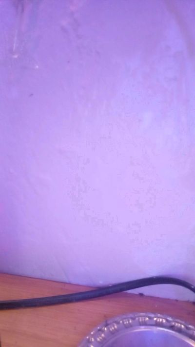 KimieChan live cam on Cam4