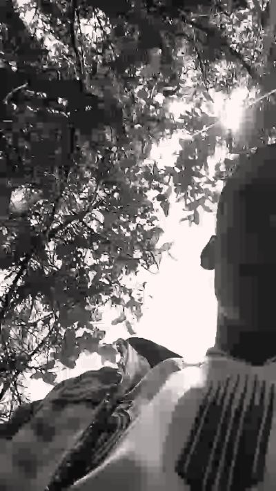 Kingdom1 live cam on Cam4