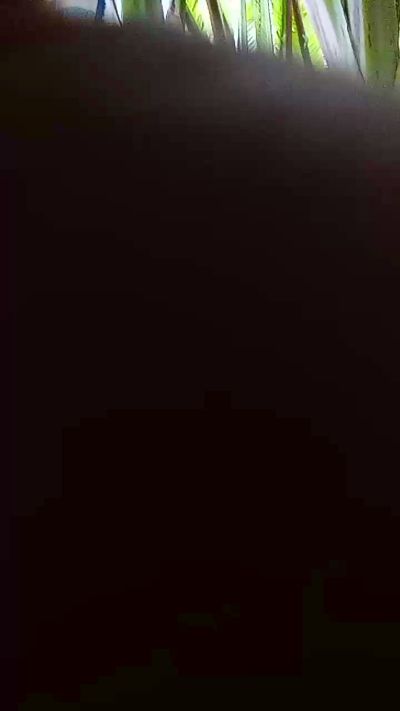 Kingdom1 live cam on Cam4