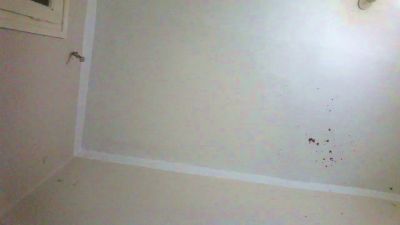 Kinglsves live cam on Cam4