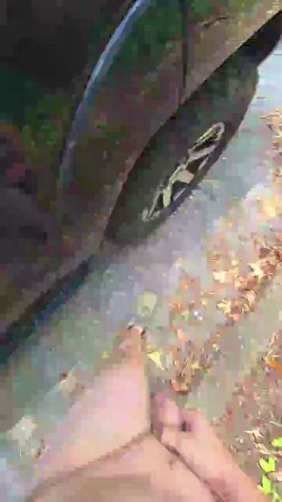 Kleindude live cam on Cam4
