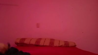 Profile and Statistics for LaTiaanal on Cam4