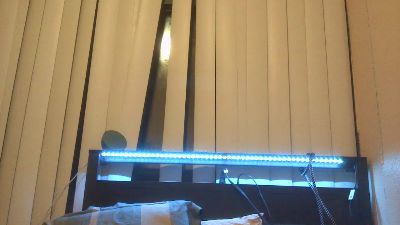 Ladiesman509 来自 美国 的 男性 直播摄像头