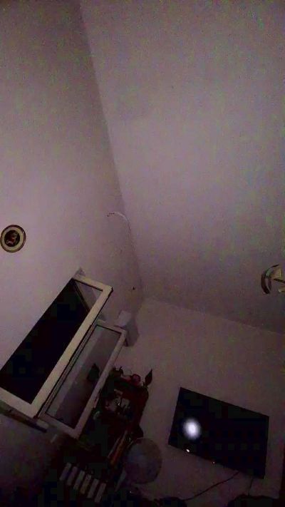 Ladyboyforyou live cam on Cam4