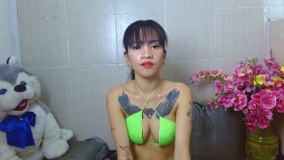 Ladyshammy live cam on Cam4