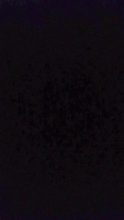 Lastnigh91 live cam on Cam4