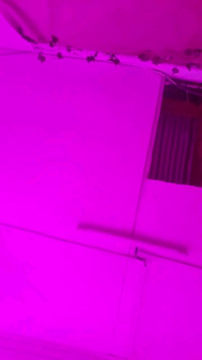 Latechocochoco live cam on Cam4