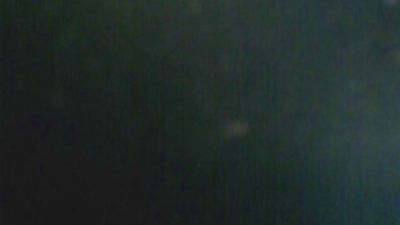 LauPet_Nacho live cam on Cam4