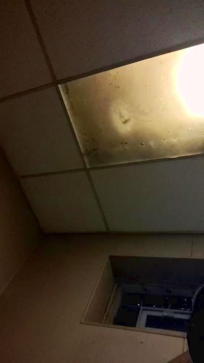 Laylabbw webcam mulher ao vivo de Estados Unidos