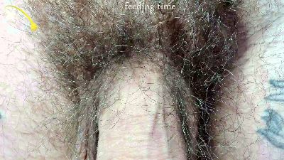 Layneinchains live cam on Cam4