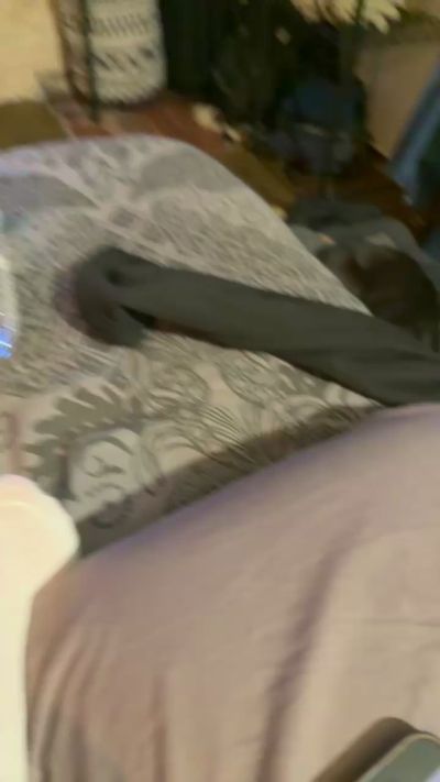 Leaelucas live cam and statistics on UnifiedCams