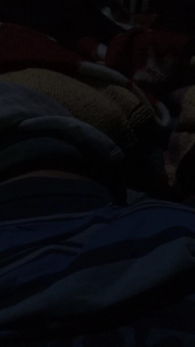 Leandrogado live cam on Cam4