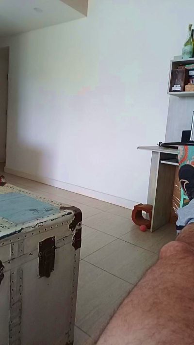 LecheroMdq live cam on Cam4