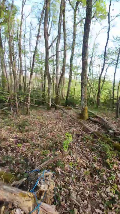 Legtiste Live Cam on Cam4