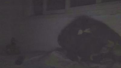 Leitokss live cam on Cam4