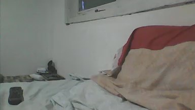 Leitokss live cam on Cam4