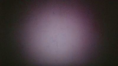 LekkereYasmine live cam on Cam4