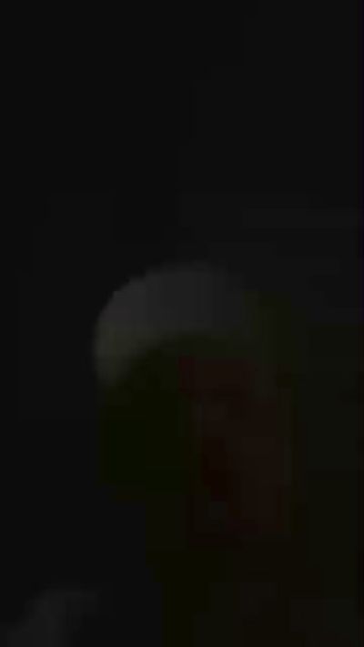 Preview of leocavalo25cm