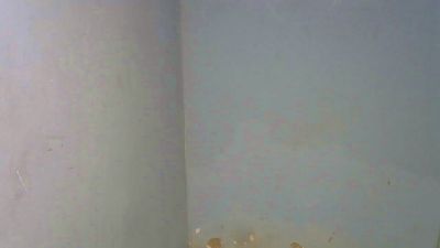 Leonynda_1 live cam on Cam4