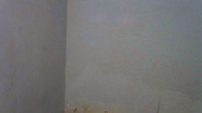 Leonynda_1 live cam on Cam4