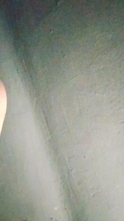 Libramoon webcam