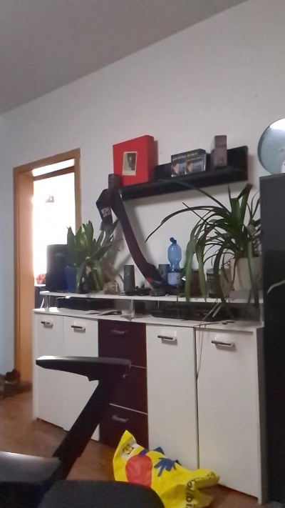 Lienlingsidiot live cam on Cam4