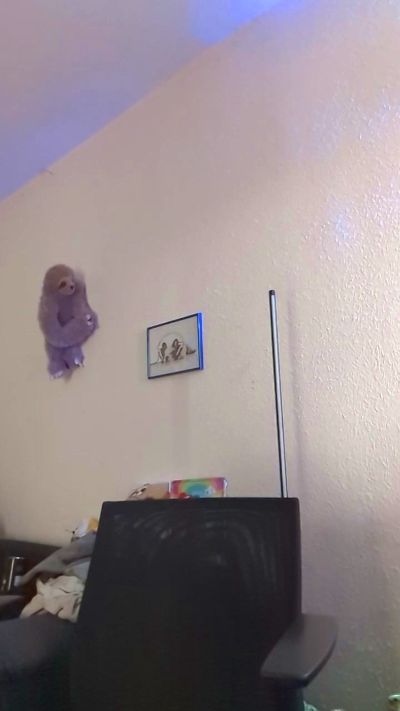 Lienlingsidiot live cam on Cam4
